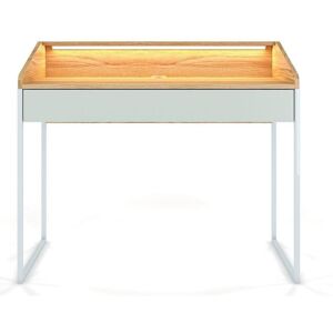 DANCAN Finka písací stôl FARBA: pastelová zelená/hnedá