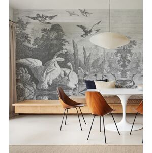 Wallcolours WALLCOLORS Black swans wallpaper - tapeta POVRCH: Prowall Sand