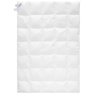 Sleeptex CELOROČNÁ PRIKRÝVKA, 140/200 cm, perie, páperie