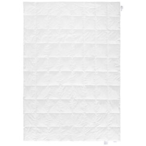 Sleeptex LETNÁ PRIKRÝVKA, 140/220 cm, polyester, rúno, duté vlákno