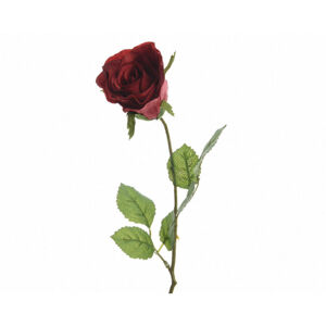 RUŽA 42 cm